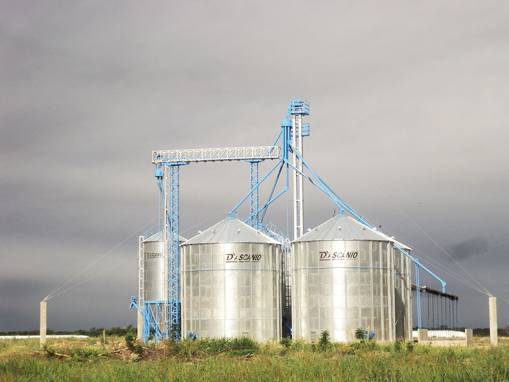 Planta acopio para feedlot