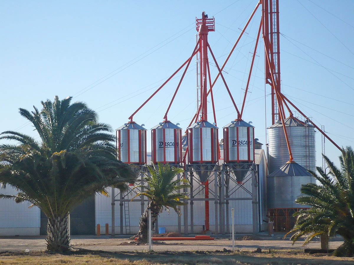 Planta de silos sobre estructuras pórticas
